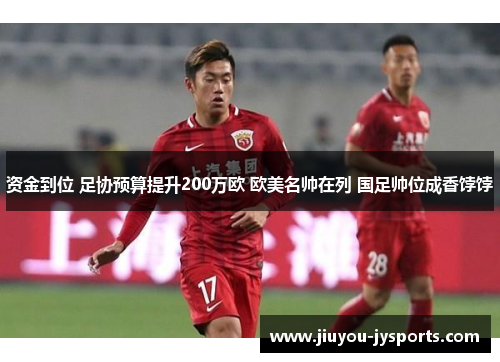 资金到位 足协预算提升200万欧 欧美名帅在列 国足帅位成香饽饽